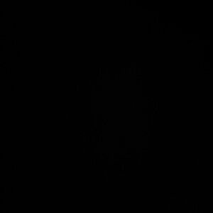 Meet your Posher, Scotty